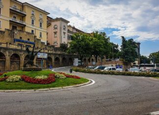 Cambiamenti climatici, la Toscana punta sugli alberi in città: bando da 5 milioni per 63 comuni