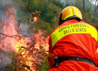 Sotto controllo l’incendio boschivo di Cortona. 7 gli ettari percorsi dal fuoco