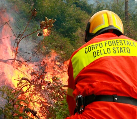 Sotto controllo l’incendio boschivo di Cortona. 7 gli ettari percorsi dal fuoco