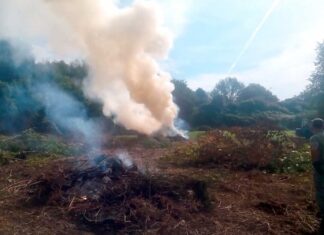 Incendi boschivi, in Toscana 200 roghi da gennaio ad agosto
