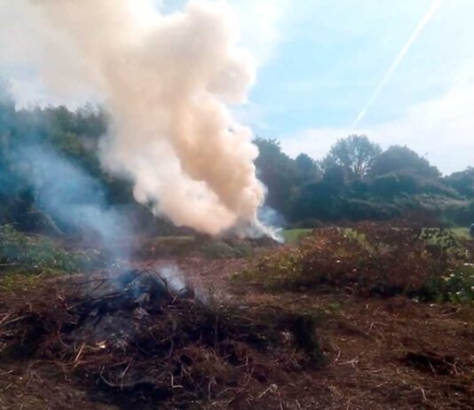 Incendi boschivi, in Toscana 200 roghi da gennaio ad agosto