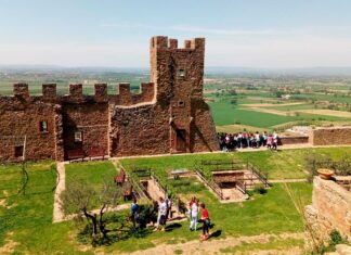 Castiglion Fiorentino, al via la manutenzione di numerosi canali e fossi. Milighetti: “Anche i privati provvedano all’interno delle loro proprietà alla pulizia e al ripristino dei fossi per limitare i disagi in casi di forti precipitazioni”