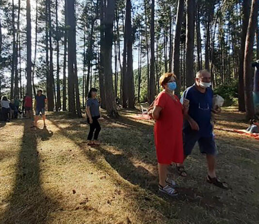 Pineta di Sant’Egidio, nuova vita