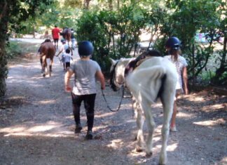 5 settimane di attività per i bambini: il bilancio delle attività, la foto del disagio creato dal lock down