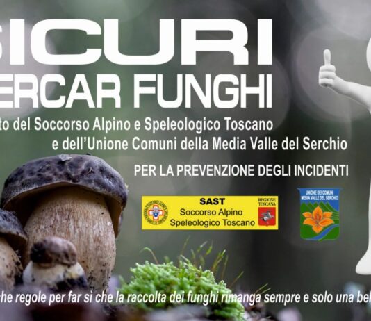 Sicuri a cercare i funghi? Ecco tutte le indicazioni