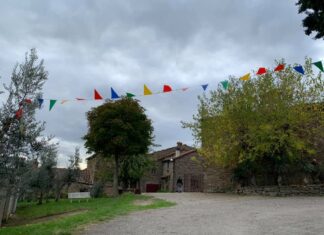 “ A San Martino ogni mosto è vino”. Così ci ricorda un antico proverbio popolare