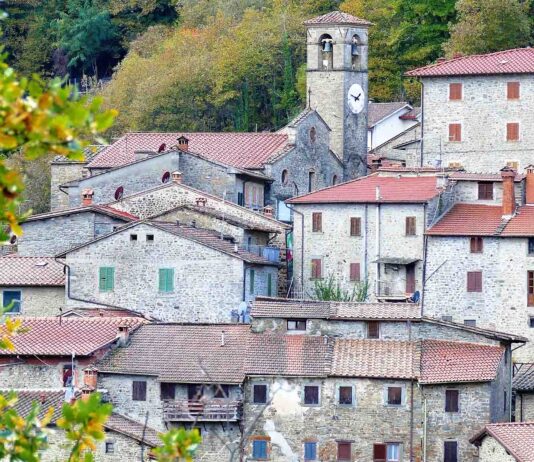 Storie e disegni: i bambini protagonisti della castagnatura on-line