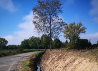 In corso la pianificazione degli interventi per il 2021 da parte del Consorzio di Bonifico sul territorio castiglionese