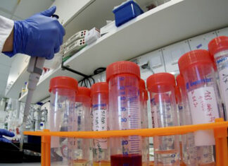 Coronavirus: 41 nuovi casi positivi nell’aretino, 65 in degenza covid, 19 in terapia intensiva, 24 persone guarite, 0 decessi