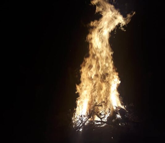 Festa di San Vincenzo a Santa Cristina di Castiglion Fiorentino