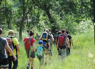Castiglion Fiorentino aderisce alle “Giornate della Primavera del FAI”, un’occasione per tornare negli spazi della cultura in tutta sicurezza.