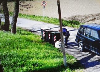 Castiglion Fiorentino fototrappole: 1 anno di monitoraggio