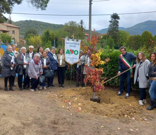 Domani, 24 ottobre 2021, XIII Giornata Nazionale AVO, Associazione Volontari Ospedalieri