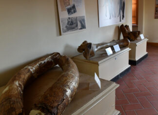 Cortona, una nuova guida racconta la storia dell’Abbazia di Farneta, sabato la presentazione