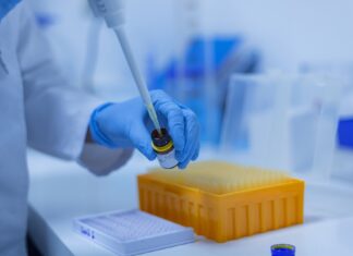 Coronavirus: 105 nuovi casi nell’aretino, 14 persone in degenza covid, 3 in terapia intensiva, 1 decesso