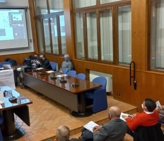 Cimice asiatica: partecipato convegno a Badia al Pino sull’analisi del problema ed esempi di strategie per il suo contenimento