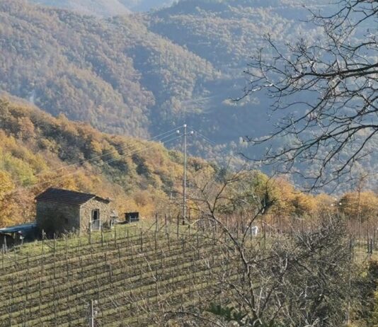 Cortona, trekking e degustazione di pinot nero per salutare l’Epifania