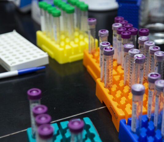 Coronavirus: 311 nuovi casi nell’aretino, 37 persone in degenza covid, 7 in terapia intensiva, 1 decesso