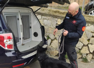 Guidava in stato di ebrezza, i carabinieri gli ritirano la patente. Continua l’azione di contrasto e di prevenzione dei reati sul territorio della valdichiana