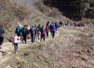 Cortona, successo per la camminata pro-Ucraina: oltre 70 partecipanti