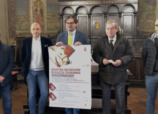 Cortona, torna con tante novità la Mostra del Vitellone. Sabato 19 e domenica 20 marzo due giorni dedicati al «Gigante bianco»