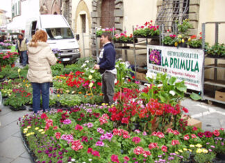 Torna la Fiera di Pasquetta a Lucignano: piante, fiori e artigianato