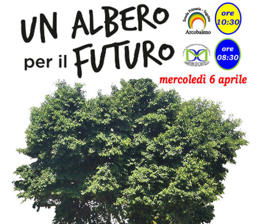 Civitella, “Un albero per il futuro”: gli studenti adottano l’Albero di Falcone