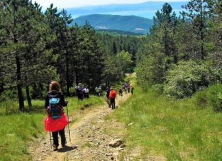 “Torniamo in vetta”: il programma estivo della Montagna Cortonese