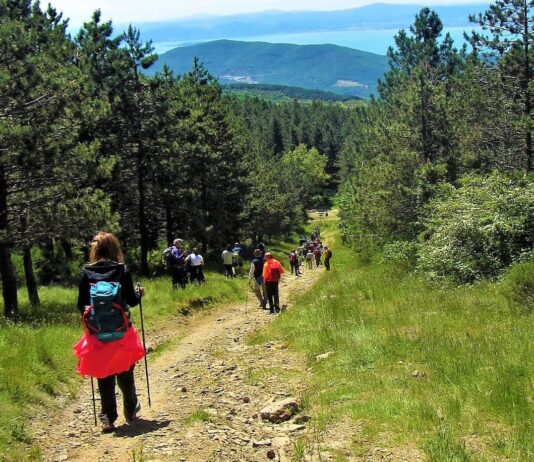 “Torniamo in vetta”: il programma estivo della Montagna Cortonese