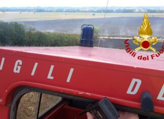 Prende fuoco bosco a Castglion Fiorentino, l’intervento dei vigili del fuoco di Cortona