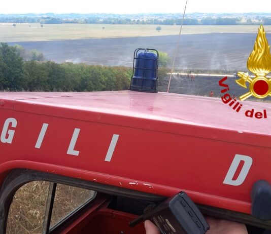 Prende fuoco bosco a Castglion Fiorentino, l’intervento dei vigili del fuoco di Cortona