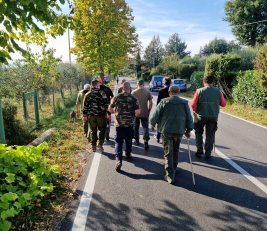 Cinghiali in zona San Paolo a Sansepolcro, il comune si è attivato per scacciarli