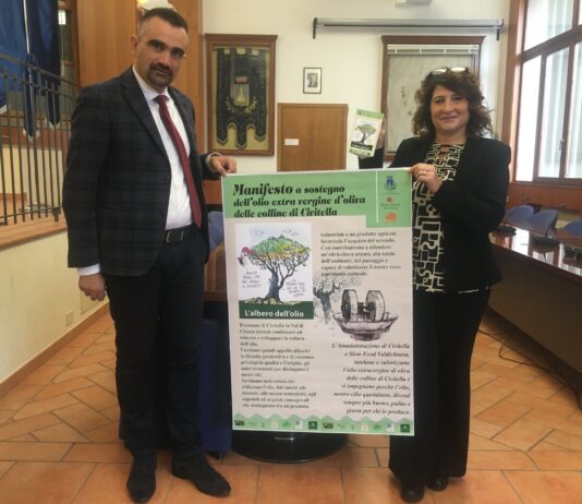 “Manifesto a sostegno dell’olio extra extravergine d’oliva delle colline di Civitella”: Amministrazione comunale e Slow Food Val di Chiana lanciano l’iniziativa