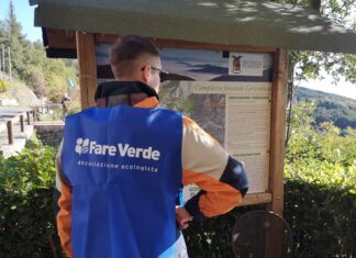 50 nuovi alberi nella montagna cortonese grazie a “Pianta un albero in vetta”