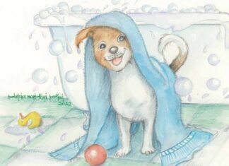 “Nati con la coda”: pronto il calendario Calcit 2023