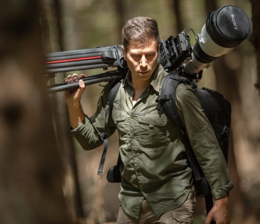 Paolo Sodi: “in Islanda alla ricerca delle pulcinelle di mare”