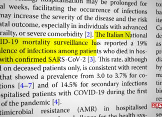 RAI3: Report inizia a riscrivere la storia della pandemia