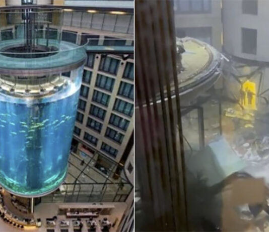A Berlino esplode un enorme acquario da 1500 pesci tropicali