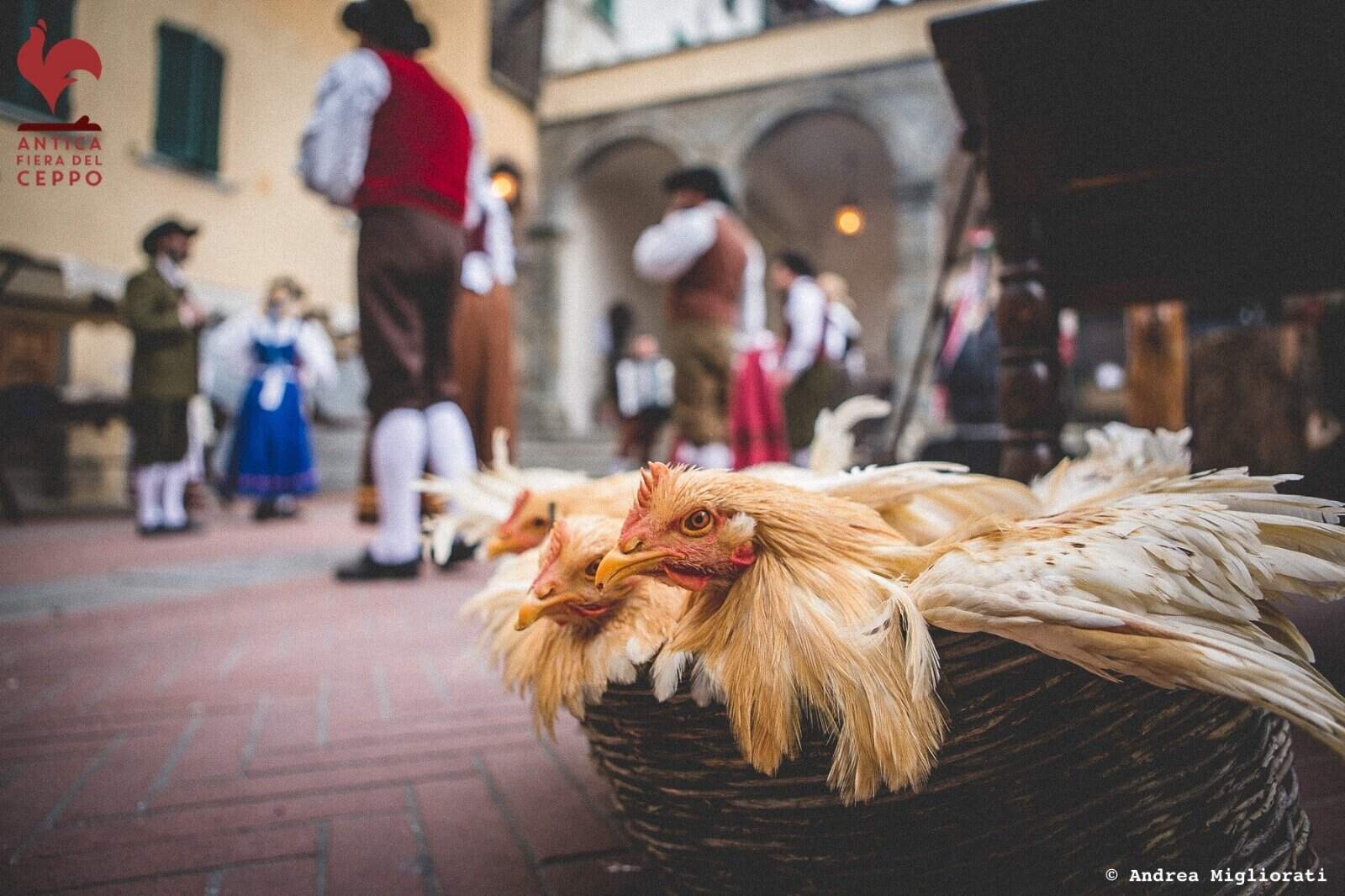 Lucignano accende la magia del Natale con l’Antica Fiera del Ceppo