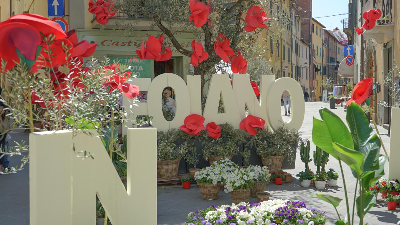 Grande successo per la 40ª edizione di “Foiano in Fiore”